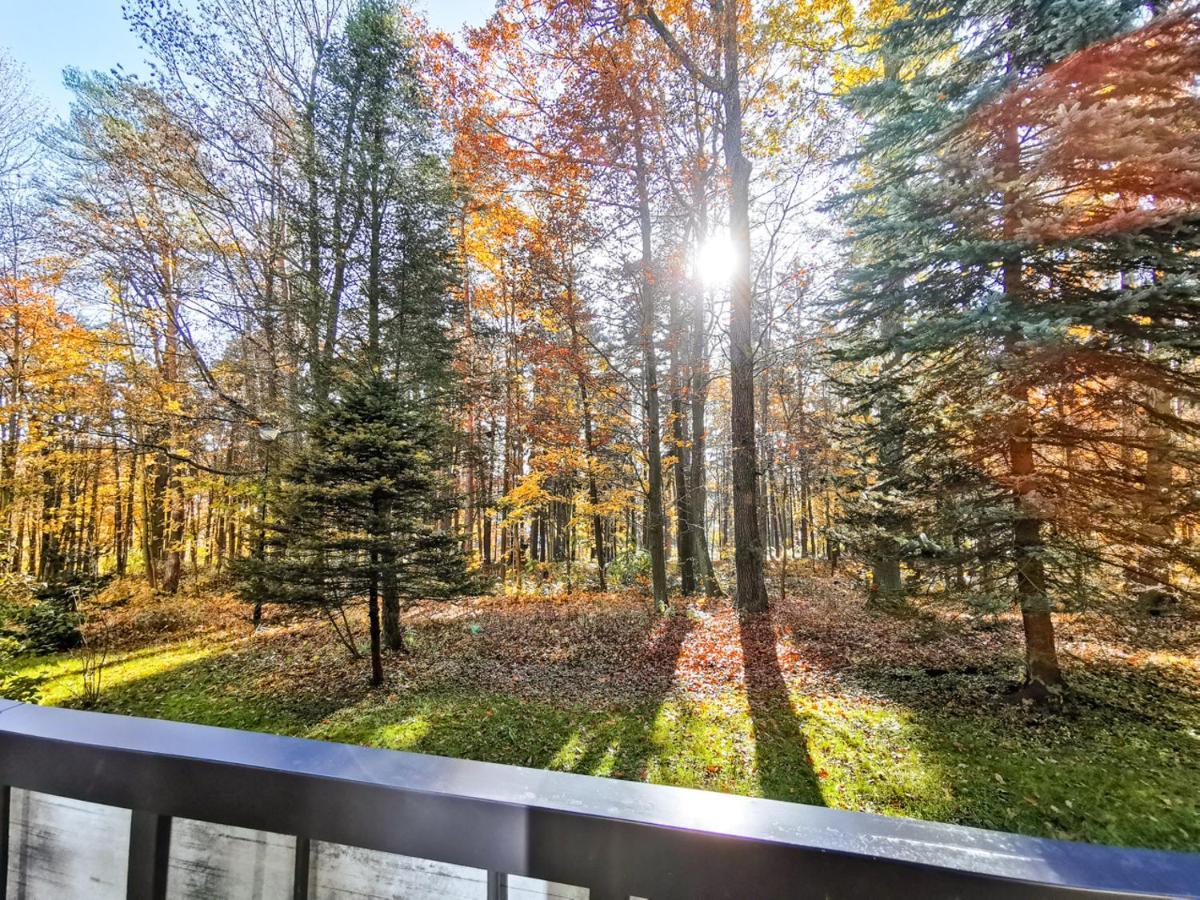 Apartament Z Widokiem Na Park Polanica-Zdroj Exterior photo